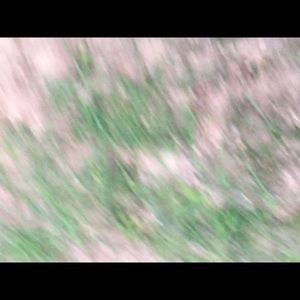 Meet your Posher, Larry